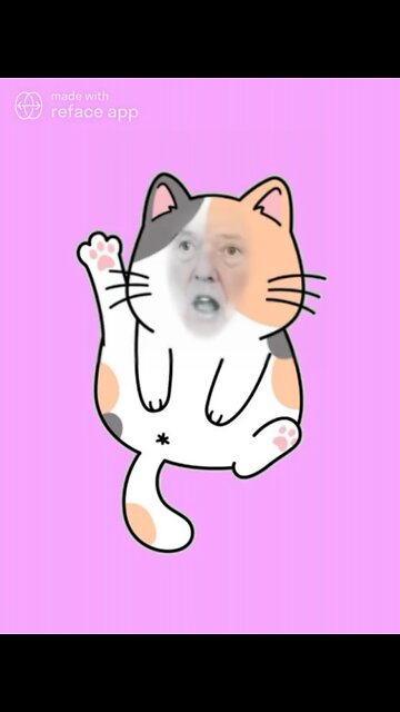 The Ultimate Donald Trump Cat Meme! 🐈