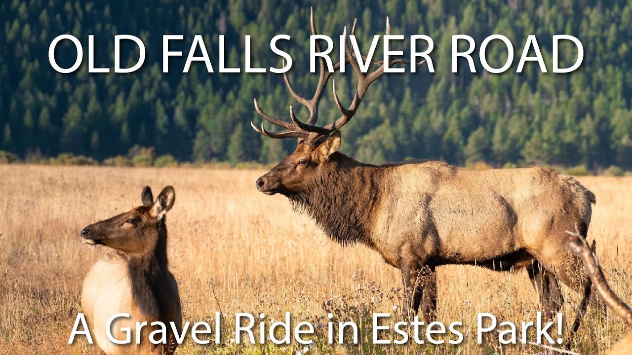 Epic Gravel Biking in Estes Park: Conquering Old Falls River Road | Colorado Adventures 2023