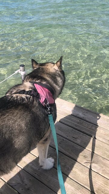 Wednesday Sept 25, Look, I am sending the prophet Elijah