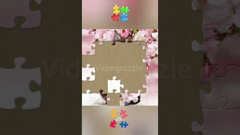 #Videopuzzle #Videos #Puzzle #Anime #Animation #Cute #Asmr #Satisfaction #Game #Shorts