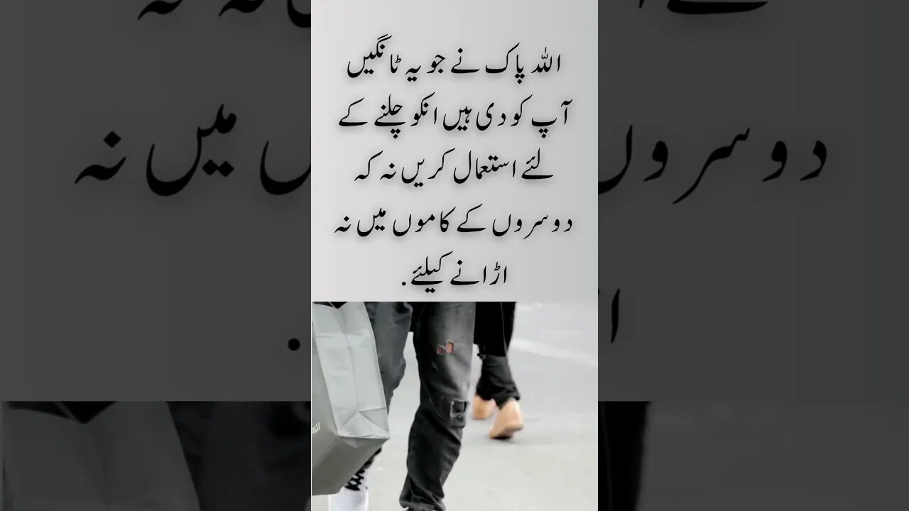 Legs are for walking and not for interfere | interesting facts | funny quotes | joke in Urdu