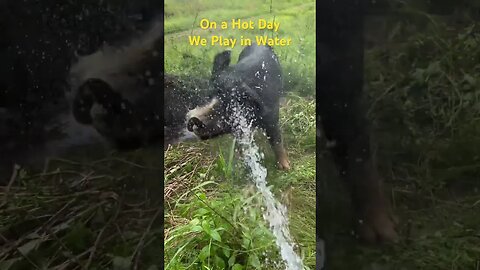 Cooling Down on a Hot Day