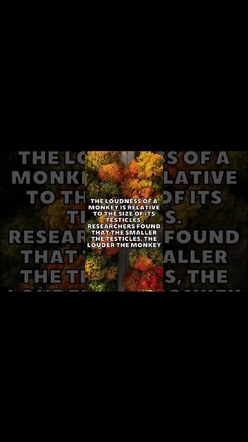 Incredible Random Facts That Will Expand Your Mind! [2023] #shorts #facts #viralshorts #fyp #life