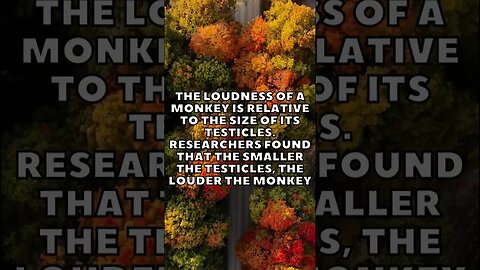 Incredible Random Facts That Will Expand Your Mind! [2023] #shorts #facts #viralshorts #fyp #life
