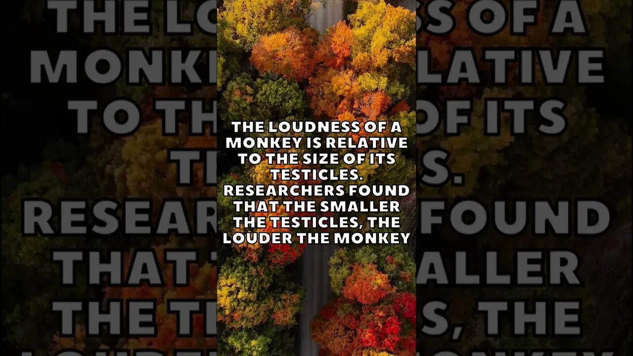 Incredible Random Facts That Will Expand Your Mind! [2023] #shorts #facts #viralshorts #fyp #life