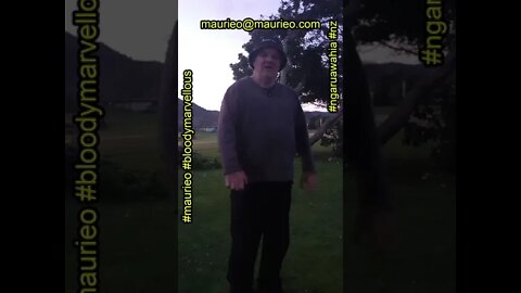 maurieo #shorts BE #BLOODYMARVELLOUS