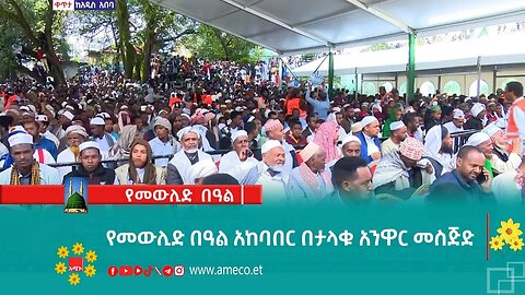 የመውሊድ በዓል አከባበር በታላቁ አንዋር መስጅድ