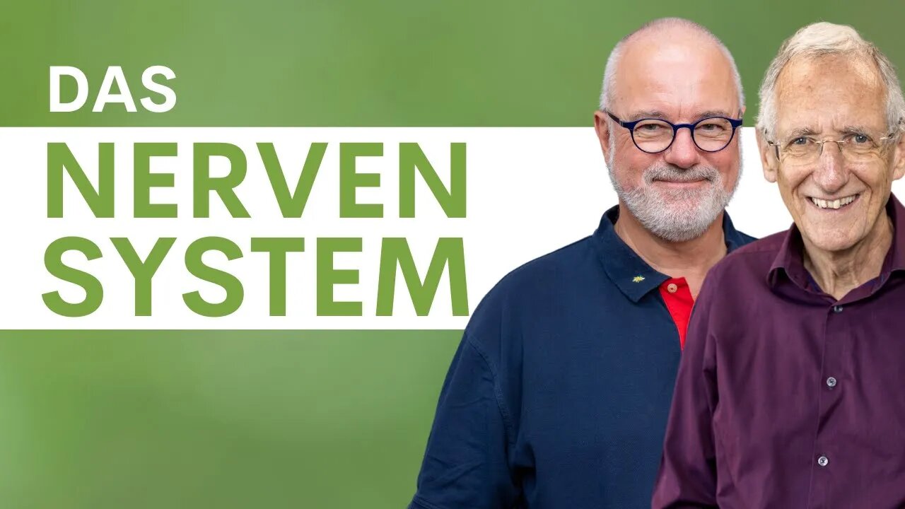 Die Nerven und das Nervensystem- Psychoneuroimmunologie