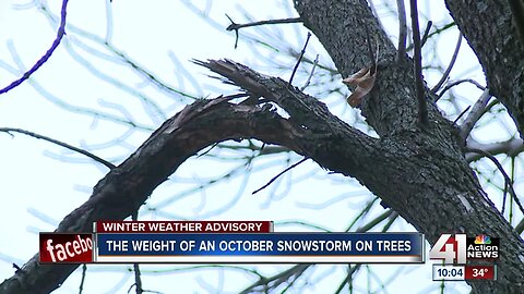 Rare October snowstorm might wreak havoc on trees