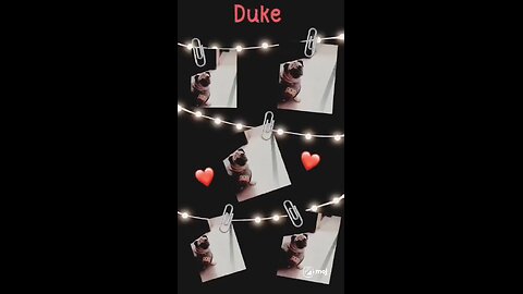 Duke