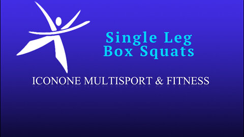 Single Leg Box Squat