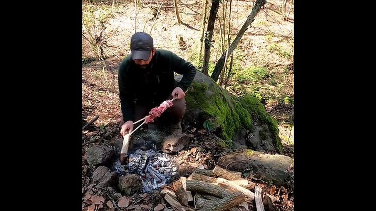 Camping in the Wild with My Dog | Emergency Shelter, Campfire Cooking, Nature Sounds