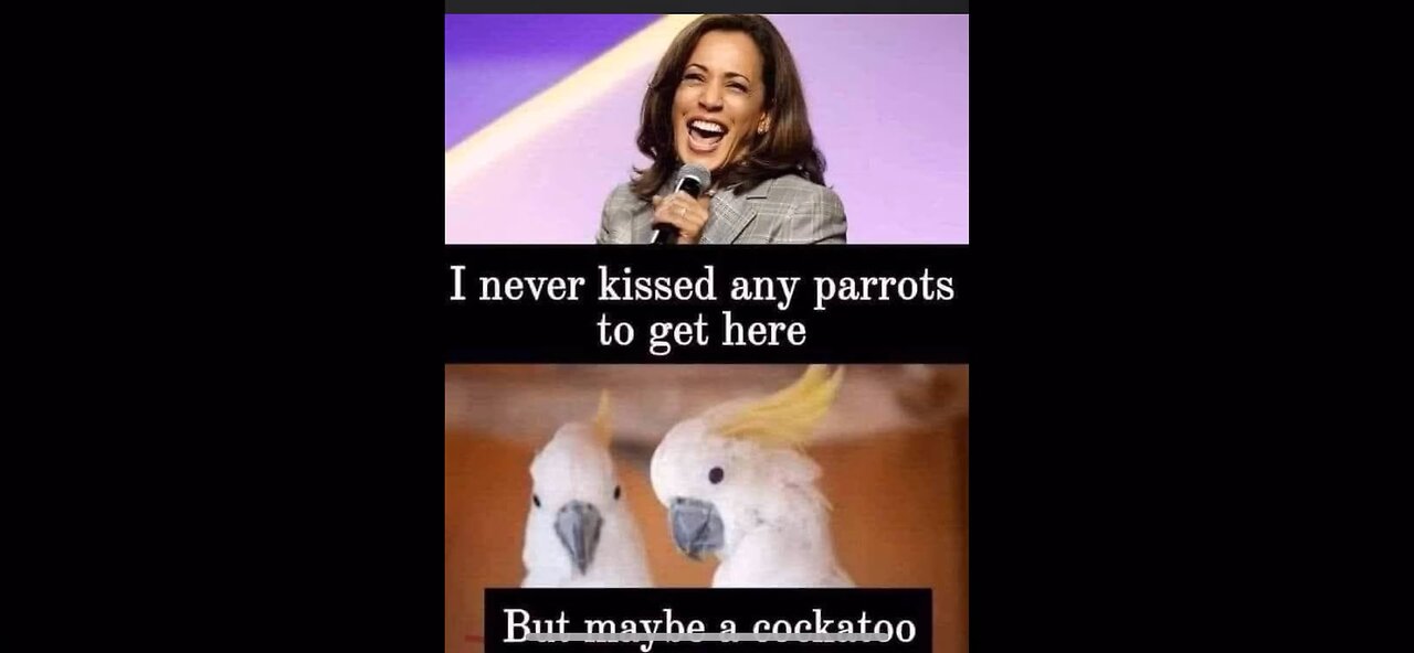 Why Women, Gays, And Weirdos, Love Kamala Harris