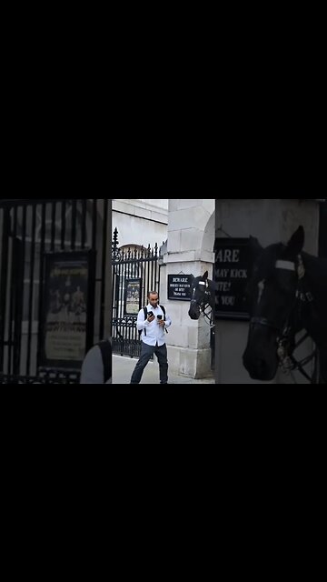look we're your going #horseguardsparade