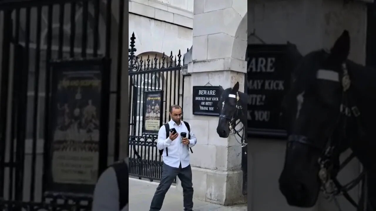 look we're your going #horseguardsparade