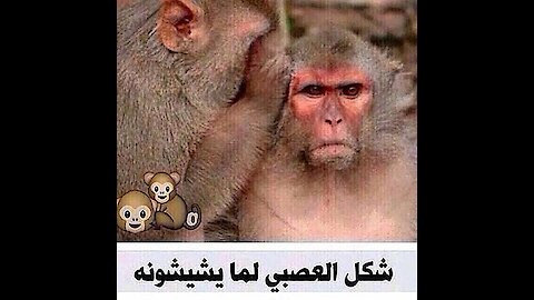 سوف تموت من الضحك شاهد ماذا فعل هذا الرجل