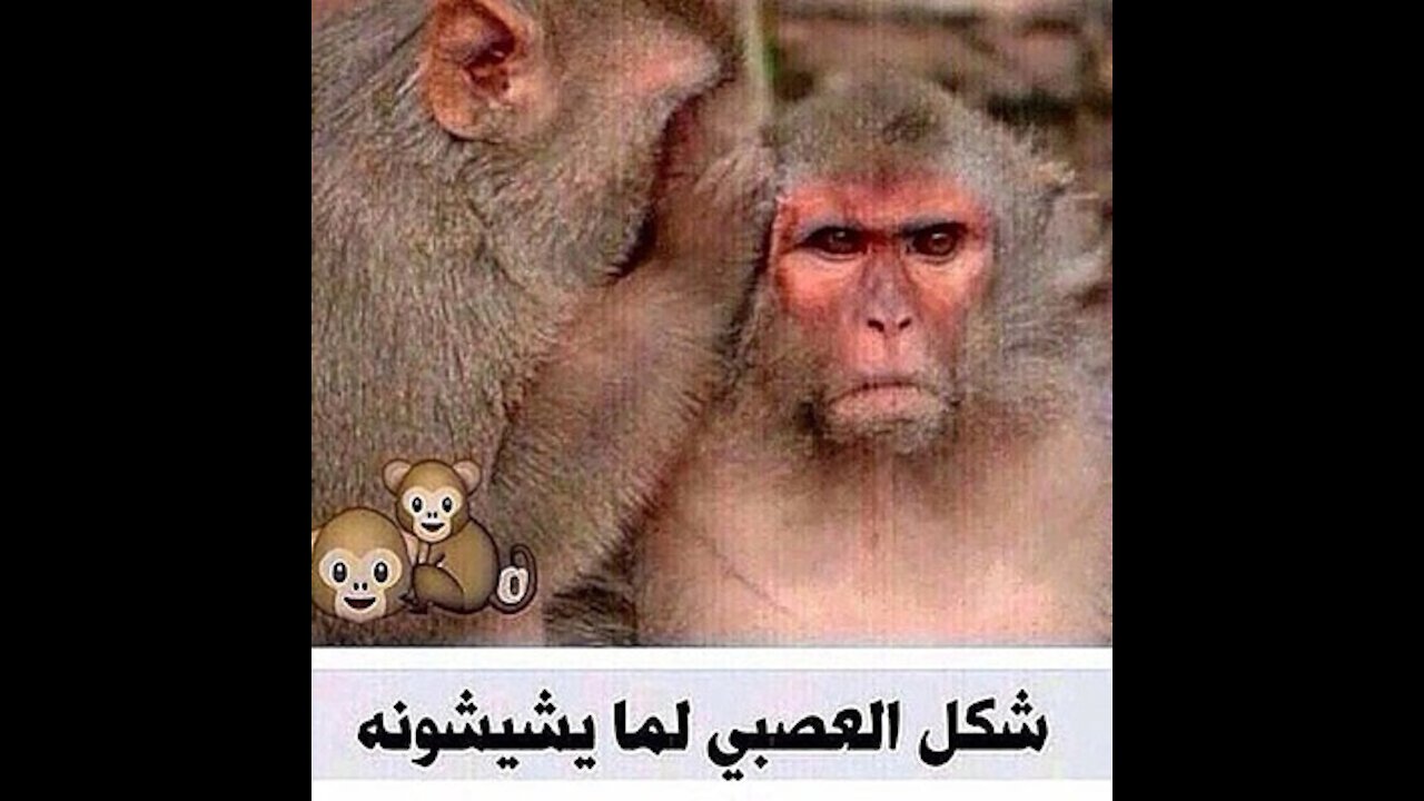 سوف تموت من الضحك شاهد ماذا فعل هذا الرجل