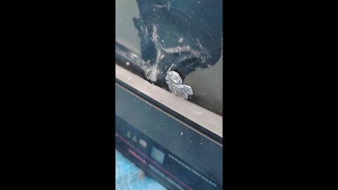 Tv's are Surprisingly Strong