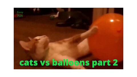 Cats vs balloons 2021 pt2