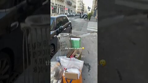 Paris Trash Tiktok pavlovicdorotea