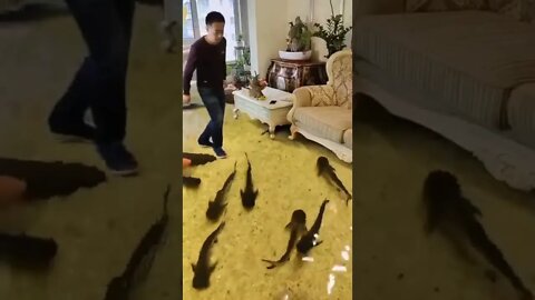 Casa Inundada Pela Agua #shorts