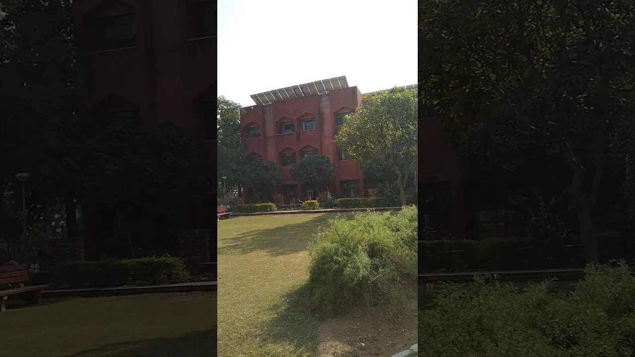 Beautiful moment