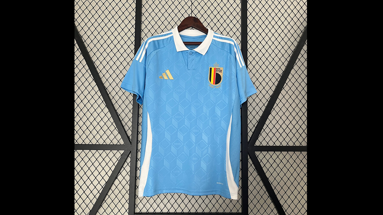 👉🏻⚽️2024 Belgium Away Adult Jersey