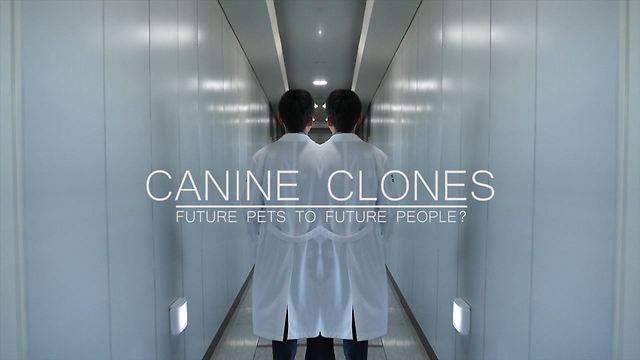 Canine Clones