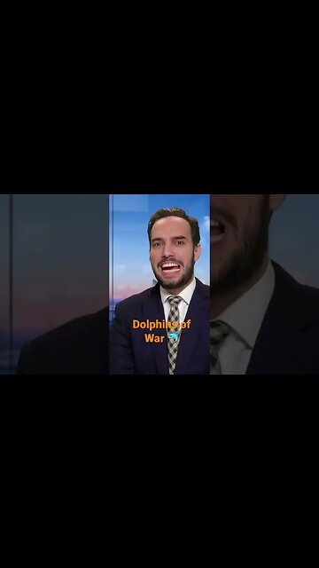 Dolphins Trained for War