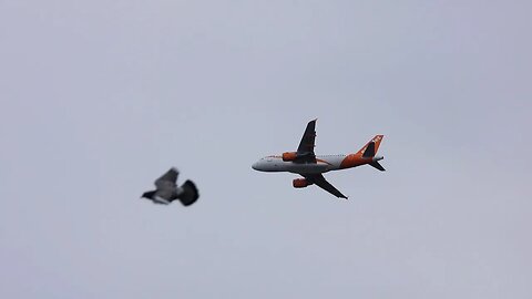 11.04.2023 NEUK - easyJet A319 G-EZBC (Callsign 'EASY1')