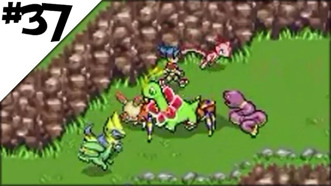 Pokemon Ranger Walkthrough Part 37: Doing Laps