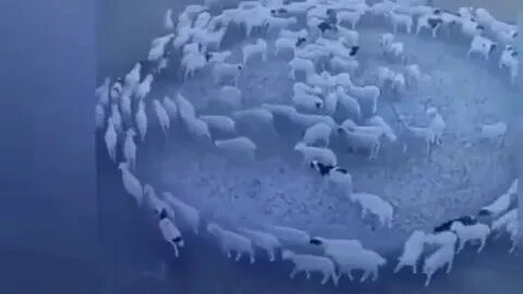 Round and Round