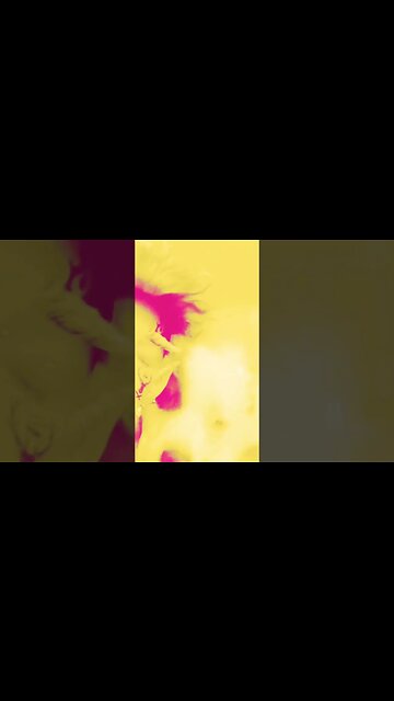 Dog is going to beat himself up in the mirror