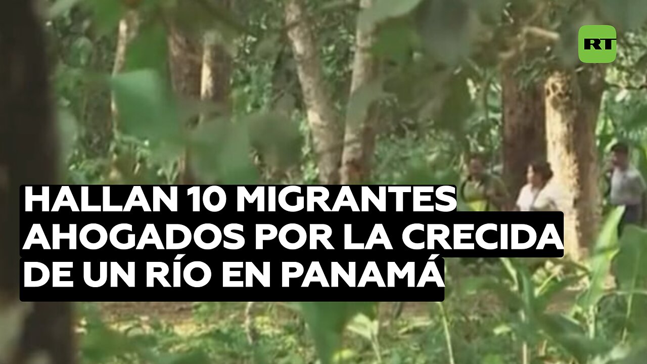 Hallan 10 migrantes ahogados por la crecida de un río cerca del tapón del Darién