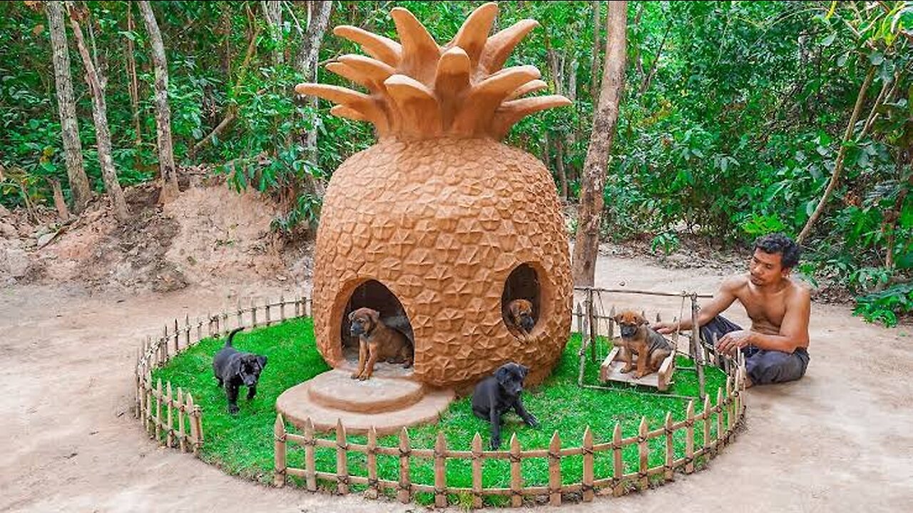 Build Pineapple House for Rescued Puppies - Build Mud Dog House.