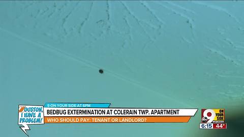 Bed bugs infest Colerain apartment complex