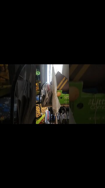 UNBRELLA CRISS CROSS HOLDING UP SIX WITH THE HANDLE 2 5 8 GREATEST CIRCUMFERENCE