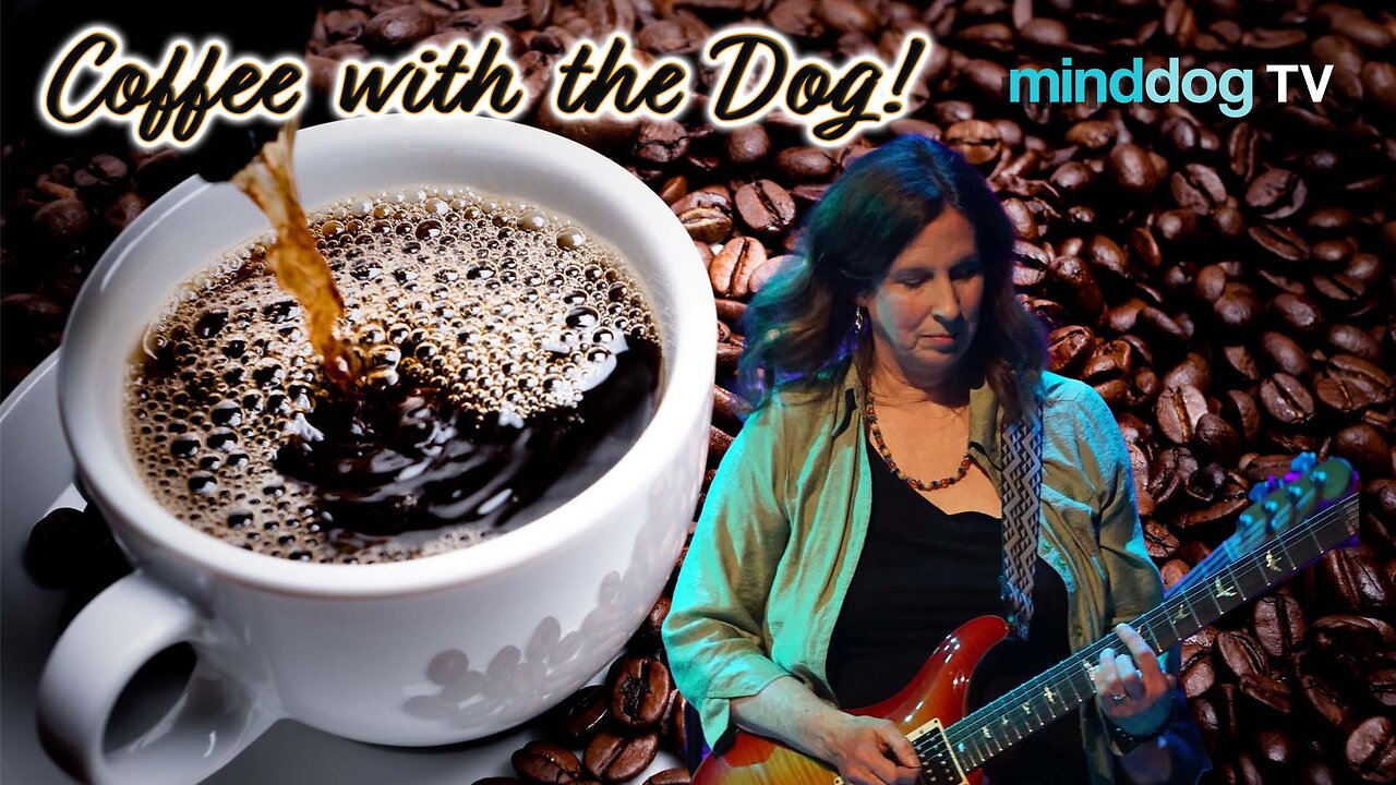 Guitarist - Singer Songwriter - PATTI SPADARO EP740