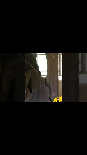 D-day bunker with the 50 mm inside #shorts 30