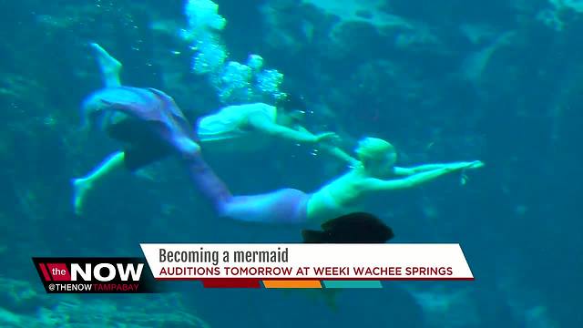 Weeki Wachee is looking for new mermaids