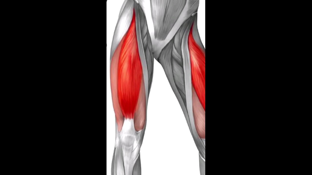 leg workout