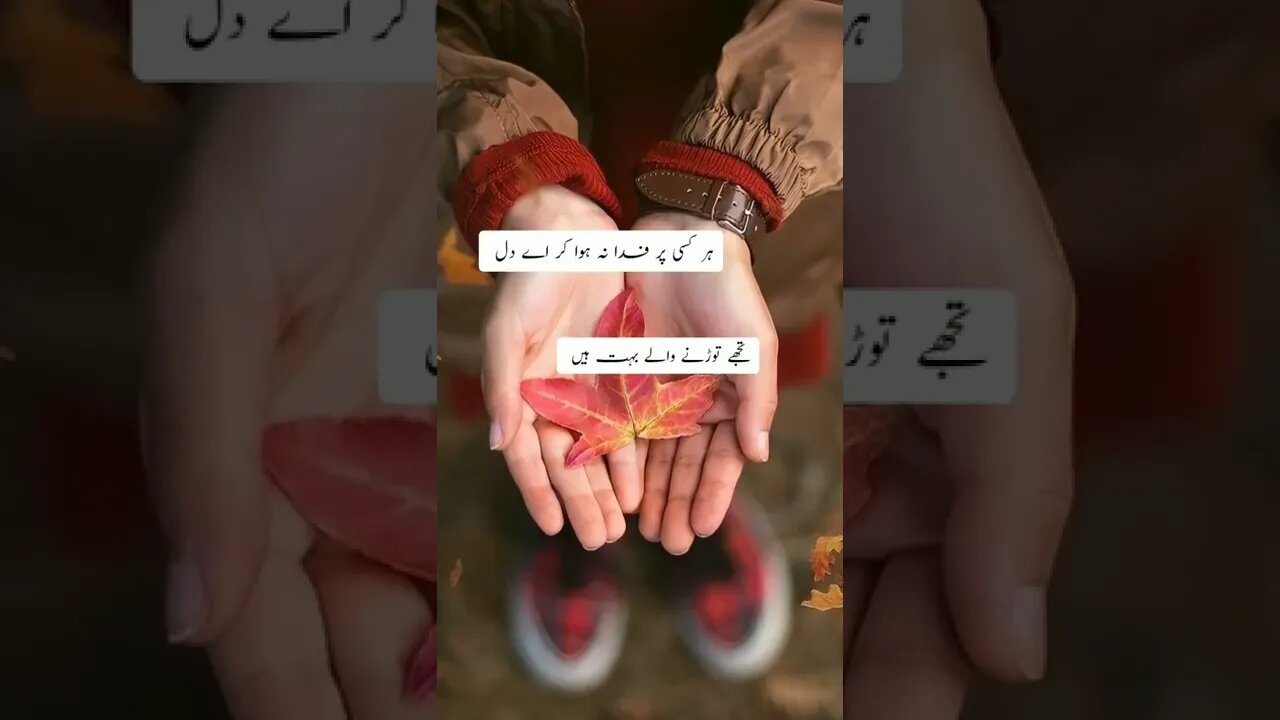 urdu sad poetry#shorts #status