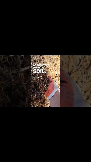 Building Great Soil With Our Unique Compost Method #shorts