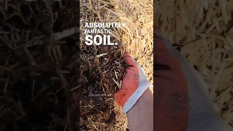 Building Great Soil With Our Unique Compost Method #shorts