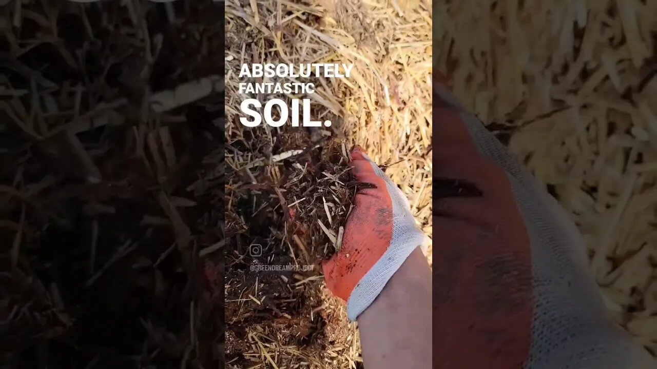 Building Great Soil With Our Unique Compost Method #shorts