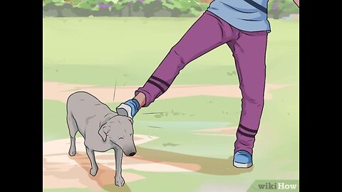 How to defend dog during fight