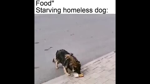 A starving homeless dog 🐕 will rather piss on McDonald’s than eat it🤮🤮🤮