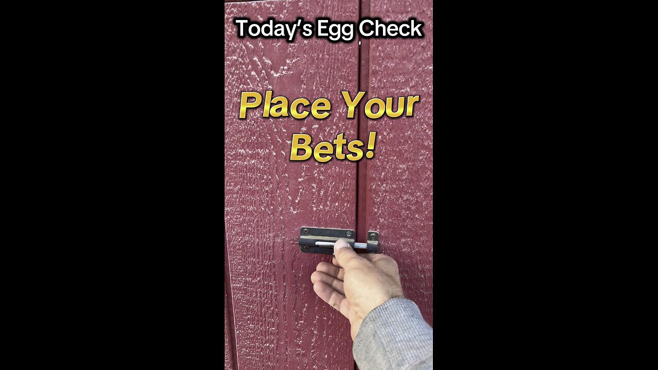 Today’s #Egg Check!