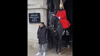 touching the reins both sides #horseguardsparade