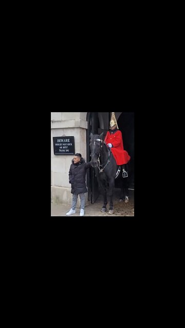 touching the reins both sides #horseguardsparade